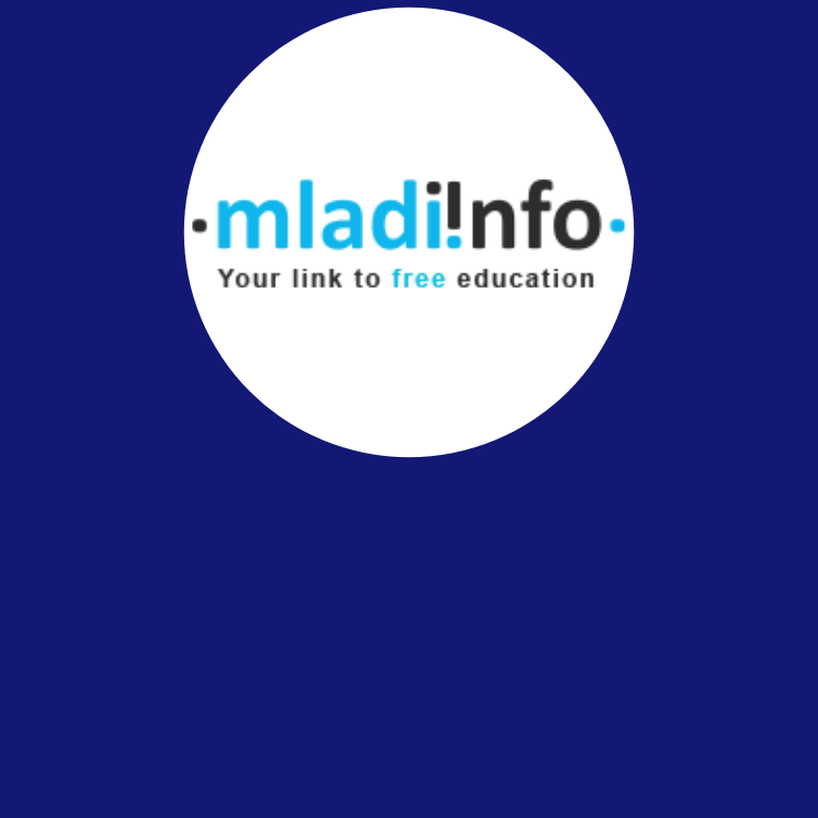 Mladiinfo International